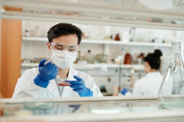 Biomedyczne inżynieria: Pionierskie innowacje w służbie zdrowia