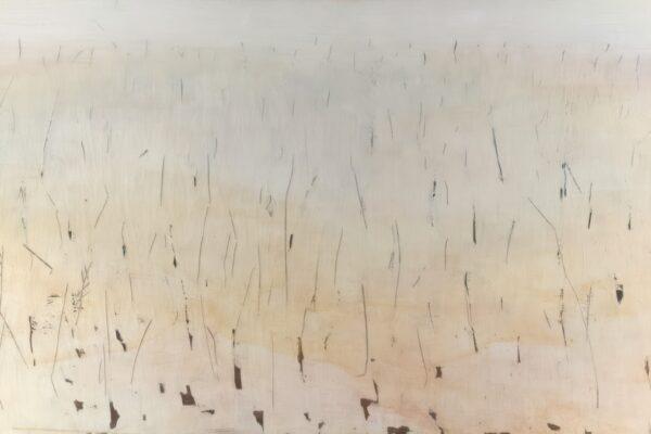 Terminarz i techniki uprawy ogórków gruntowych i pod osłonami