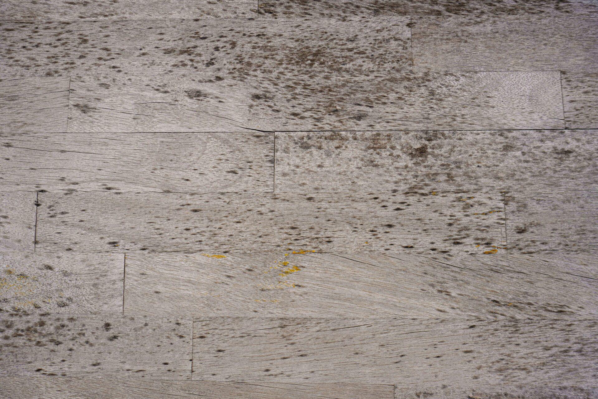 Meble z palet – eko-rozwiązania do salonu | Poradnik DIY